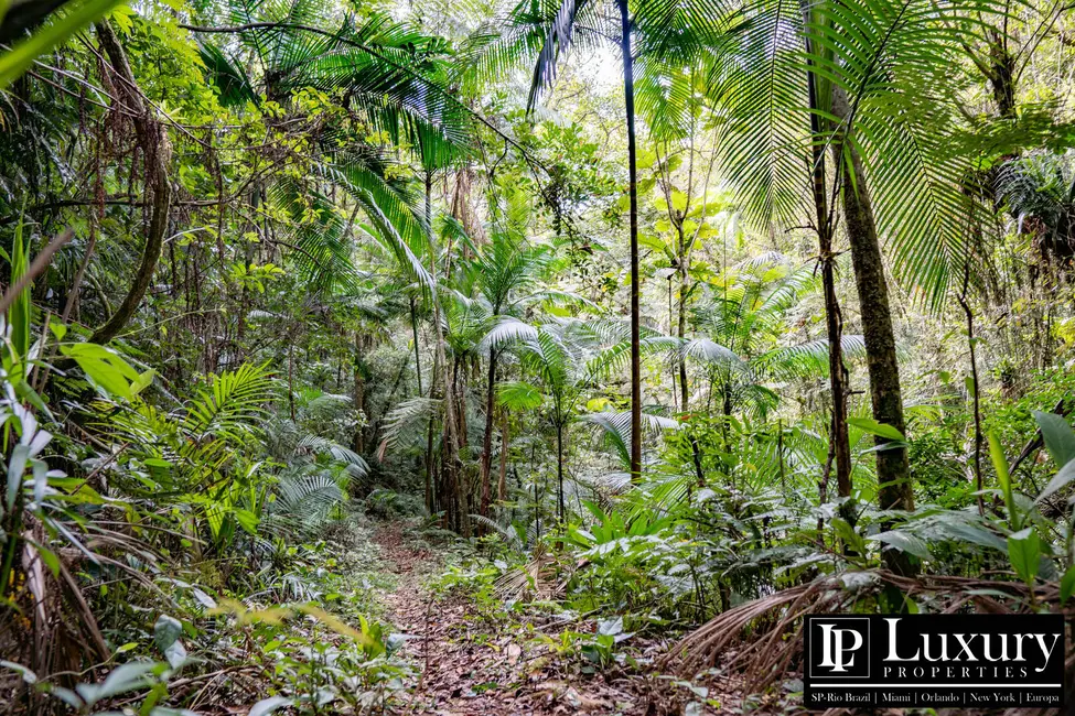 Foto 24 de Sítio / Rancho à venda em Juquitiba - SP