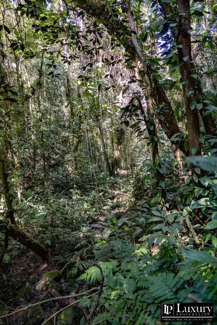 Foto 109 de Sítio / Rancho à venda em Juquitiba - SP