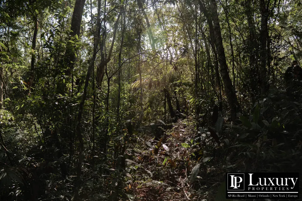 Foto 78 de Sítio / Rancho à venda em Juquitiba - SP