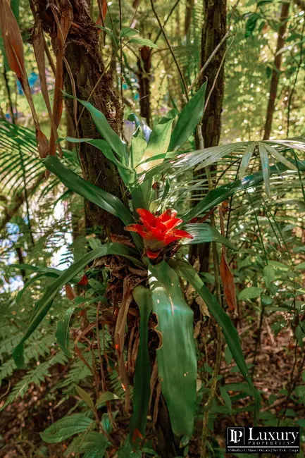 Foto 55 de Sítio / Rancho à venda em Juquitiba - SP