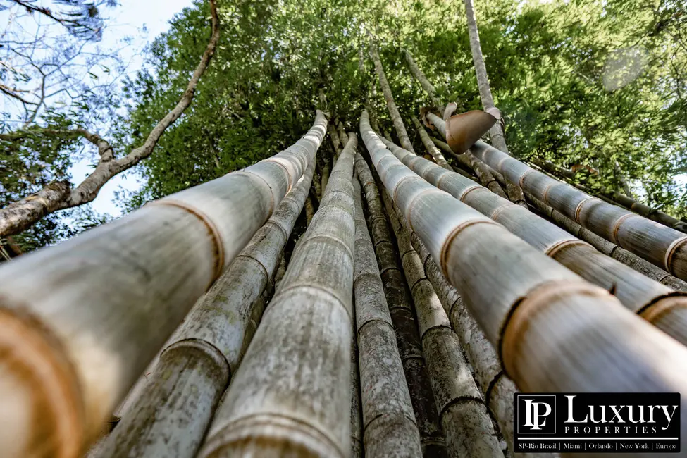 Foto 91 de Sítio / Rancho à venda em Juquitiba - SP