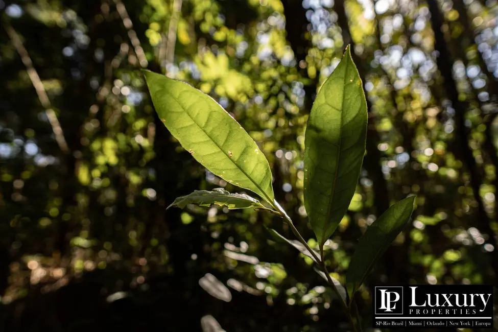 Foto 81 de Sítio / Rancho à venda em Juquitiba - SP