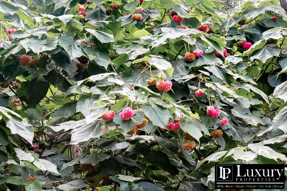 Foto 38 de Sítio / Rancho à venda em Juquitiba - SP