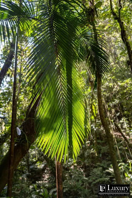 Foto 107 de Sítio / Rancho à venda em Juquitiba - SP