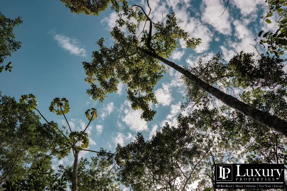 Foto 75 de Sítio / Rancho à venda em Juquitiba - SP