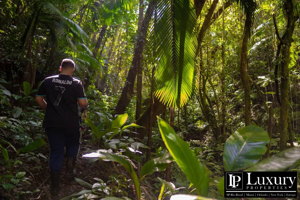 Foto 106 de Sítio / Rancho à venda em Juquitiba - SP
