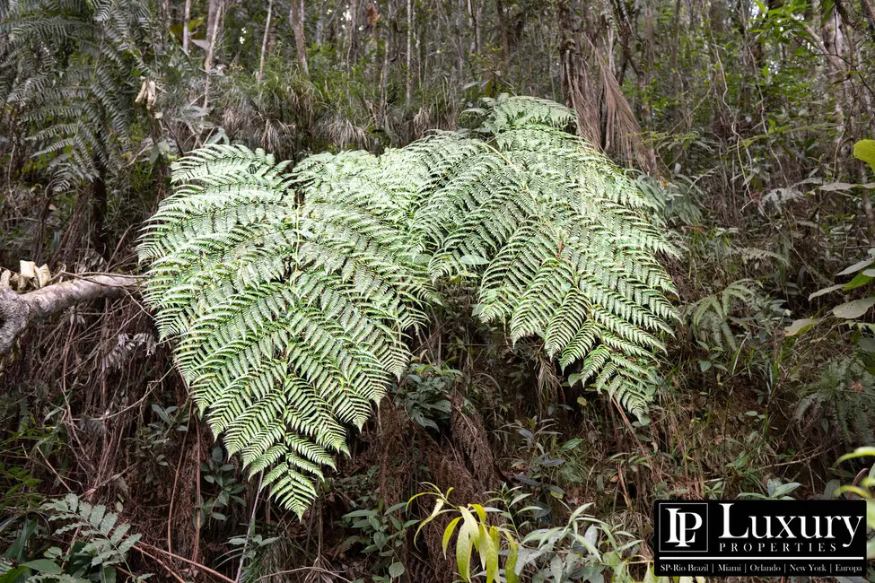 Foto 67 de Sítio / Rancho à venda em Juquitiba - SP