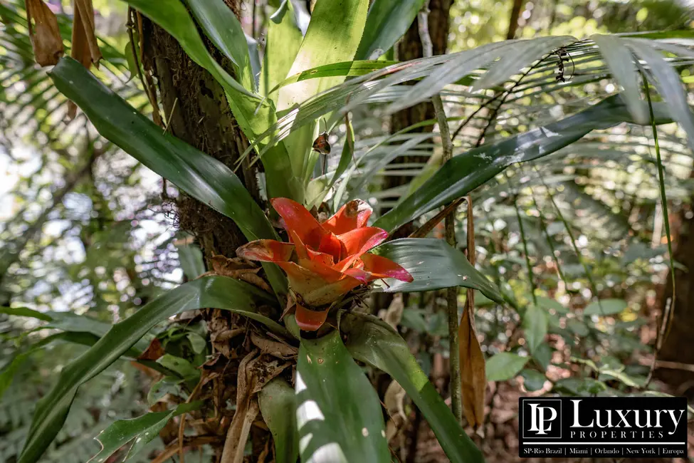Foto 54 de Sítio / Rancho à venda em Juquitiba - SP