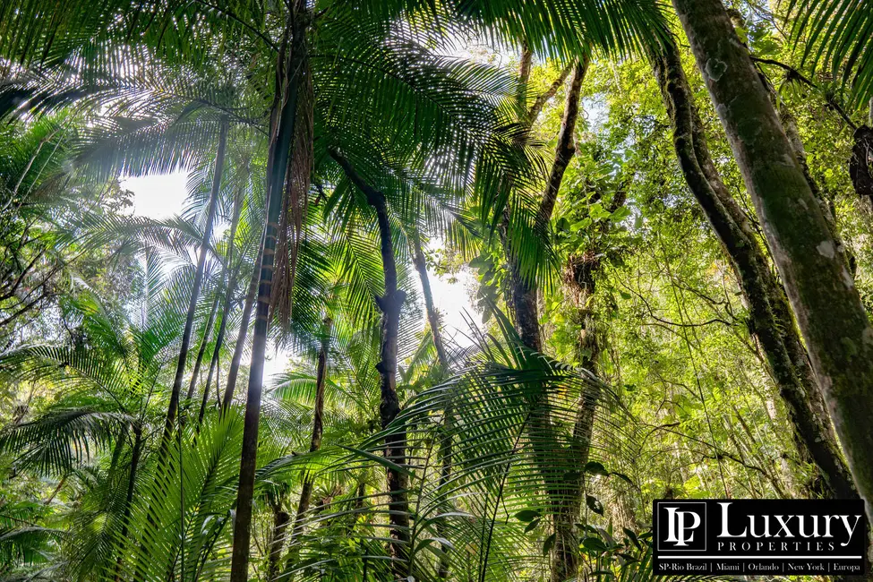 Foto 23 de Sítio / Rancho à venda em Juquitiba - SP