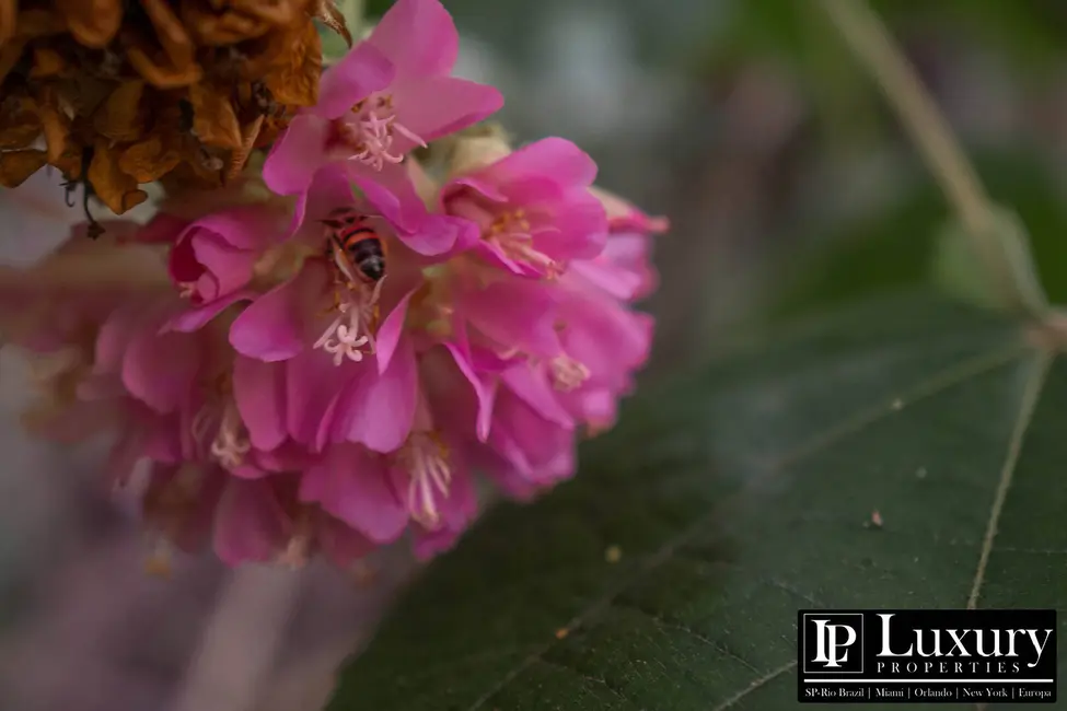 Foto 79 de Sítio / Rancho à venda em Juquitiba - SP