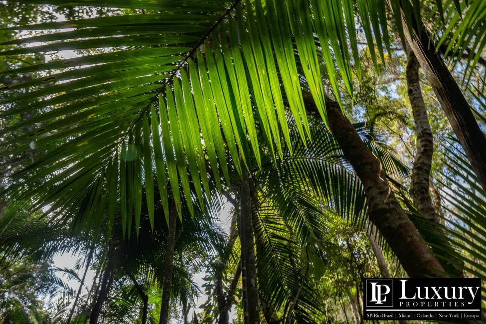 Foto 22 de Sítio / Rancho à venda em Juquitiba - SP