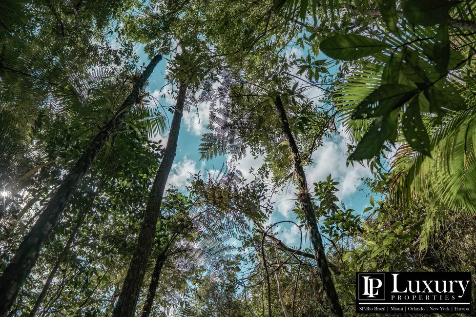 Foto 56 de Sítio / Rancho à venda em Juquitiba - SP