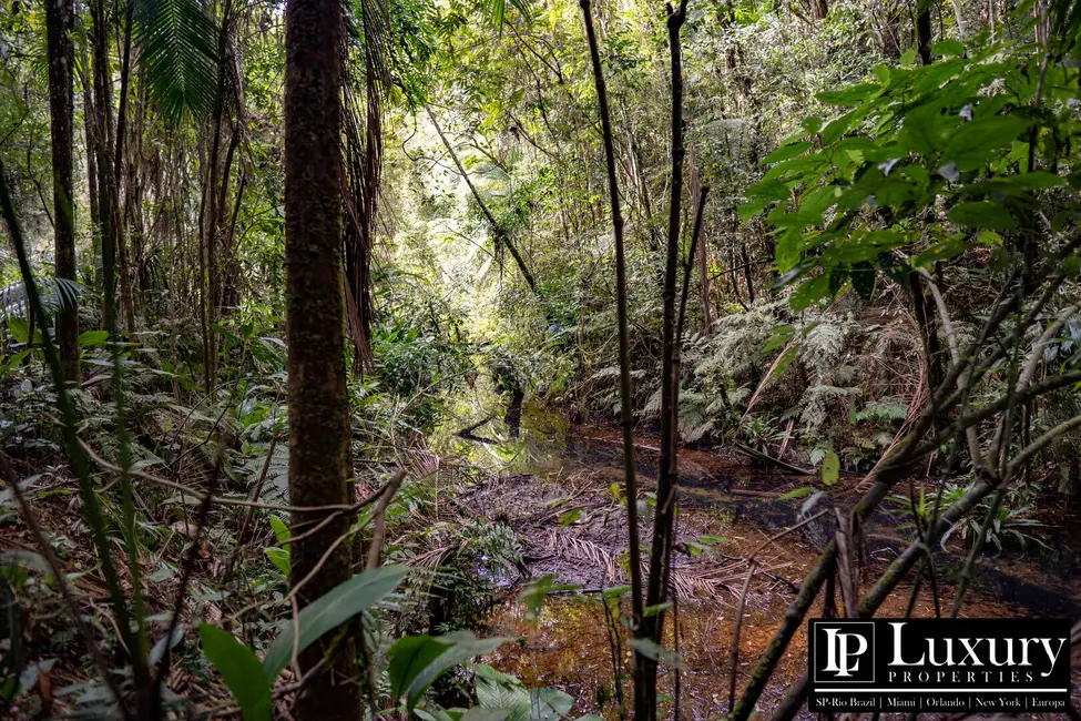 Foto 30 de Sítio / Rancho à venda em Juquitiba - SP