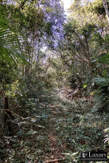 Foto 83 de Sítio / Rancho à venda em Juquitiba - SP