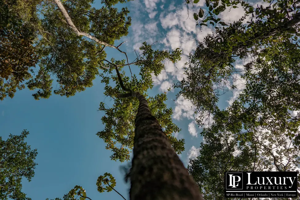 Foto 77 de Sítio / Rancho à venda em Juquitiba - SP