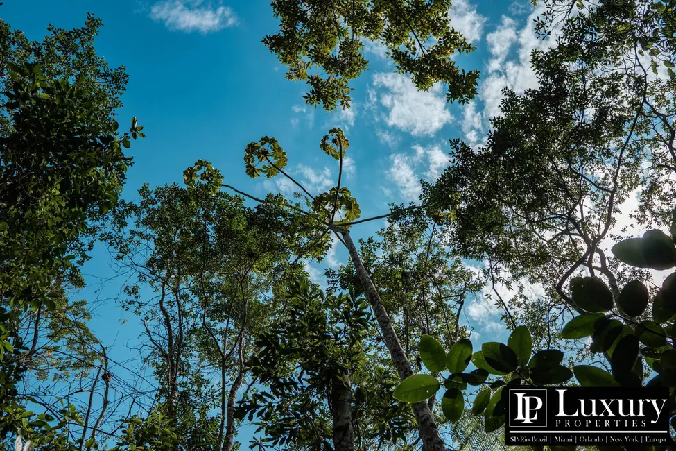 Foto 74 de Sítio / Rancho à venda em Juquitiba - SP