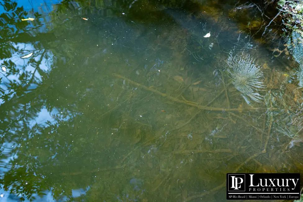 Foto 61 de Sítio / Rancho à venda em Juquitiba - SP
