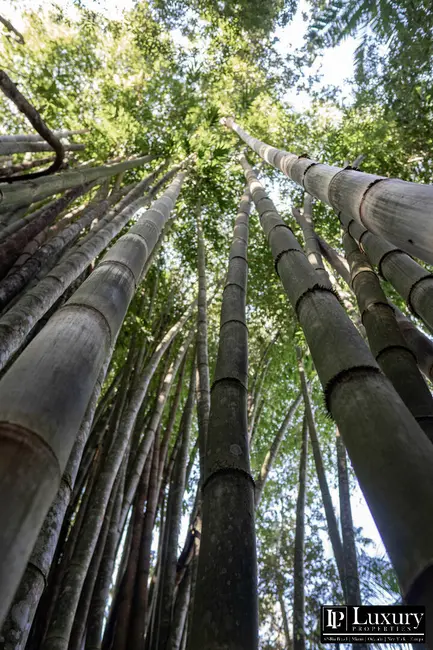 Foto 94 de Sítio / Rancho à venda em Juquitiba - SP