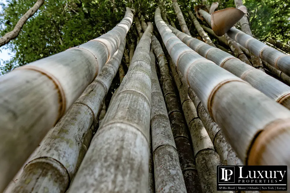Foto 92 de Sítio / Rancho à venda em Juquitiba - SP