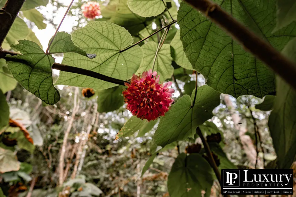 Foto 66 de Sítio / Rancho à venda em Juquitiba - SP
