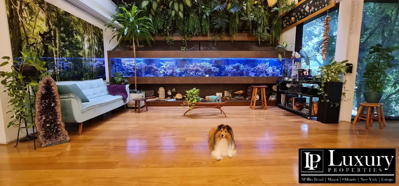 Foto 2 de Casa com 4 quartos à venda em Vila Ipojuca, São Paulo - SP