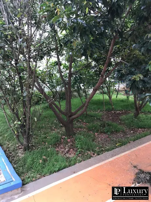 Foto 10 de Casa para alugar em Morumbi, São Paulo - SP