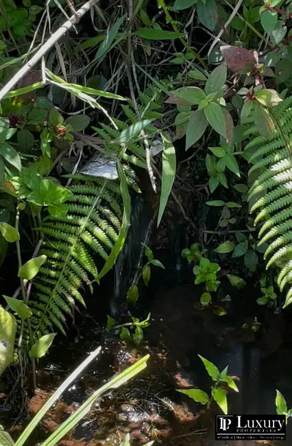 Terreno / Lote à venda em Sao Bento Do Sapucai - SP - imagem 8 Foto 8 de Terreno / Lote à venda em Sao Bento Do Sapucai - SP