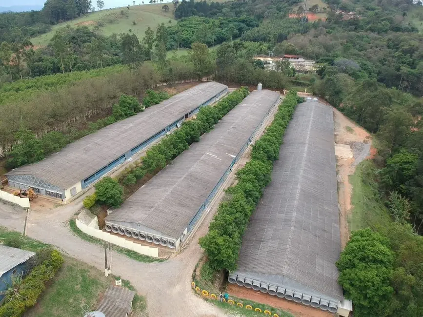 Foto 3 de Fazenda / Haras à venda em Boa Vista dos Silva, Braganca Paulista - SP