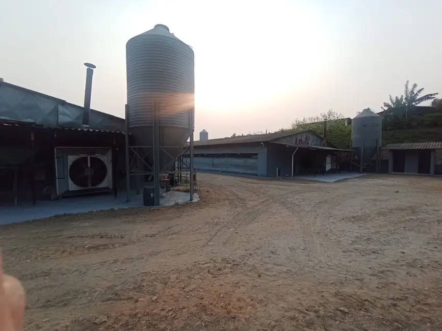 Foto 6 de Fazenda / Haras à venda em Boa Vista dos Silva, Braganca Paulista - SP