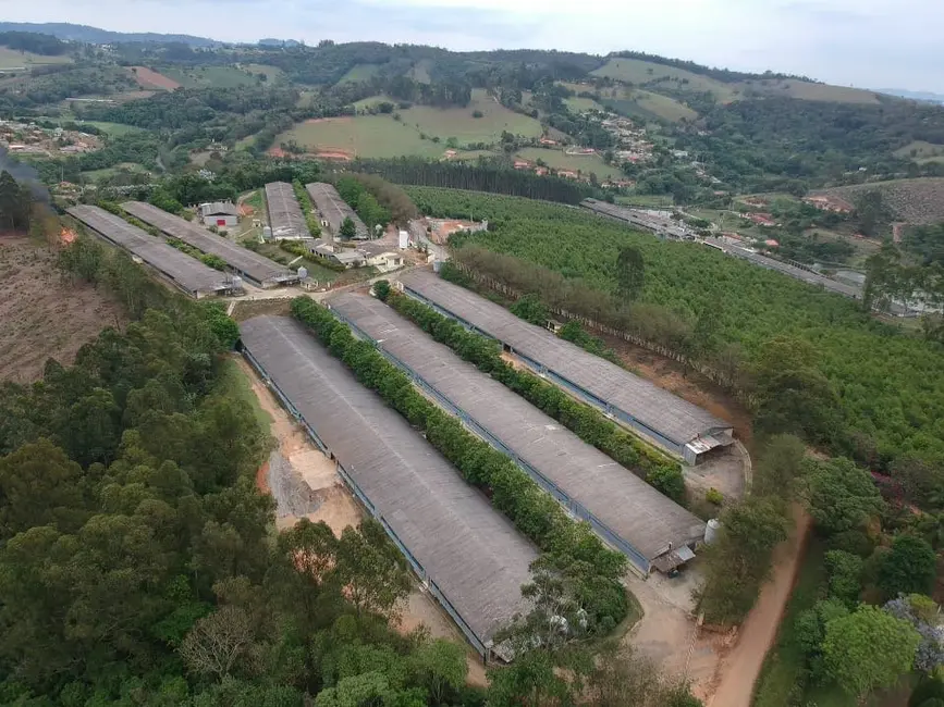Foto 1 de Fazenda / Haras à venda em Boa Vista dos Silva, Braganca Paulista - SP