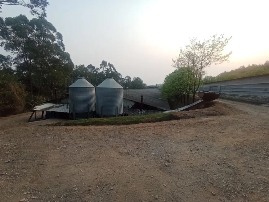 Foto 5 de Fazenda / Haras à venda em Boa Vista dos Silva, Braganca Paulista - SP