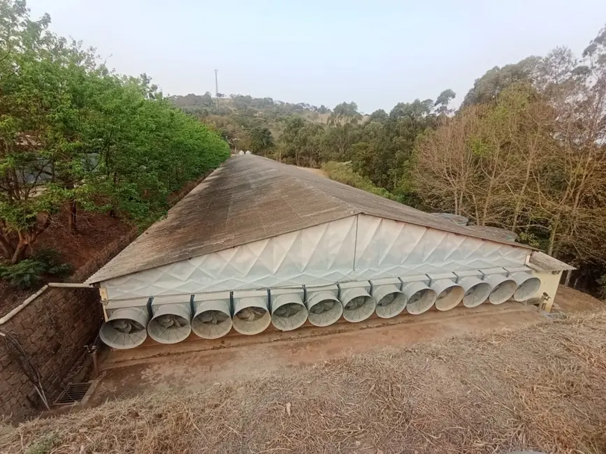 Foto 9 de Fazenda / Haras à venda em Boa Vista dos Silva, Braganca Paulista - SP