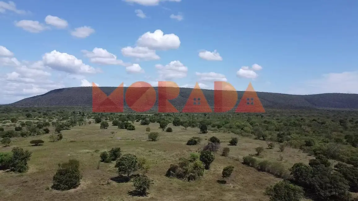 Foto 7 de Fazenda / Haras à venda, 2700m2 em Morpara - BA