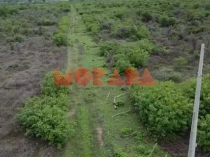 Foto 6 de Fazenda / Haras à venda, 2700m2 em Morpara - BA