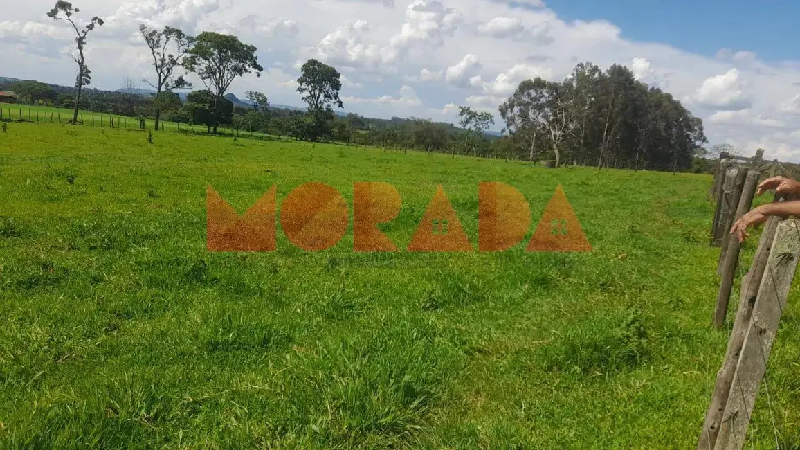 Foto 6 de Fazenda / Haras à venda, 10890000m2 em Mundo Novo - BA