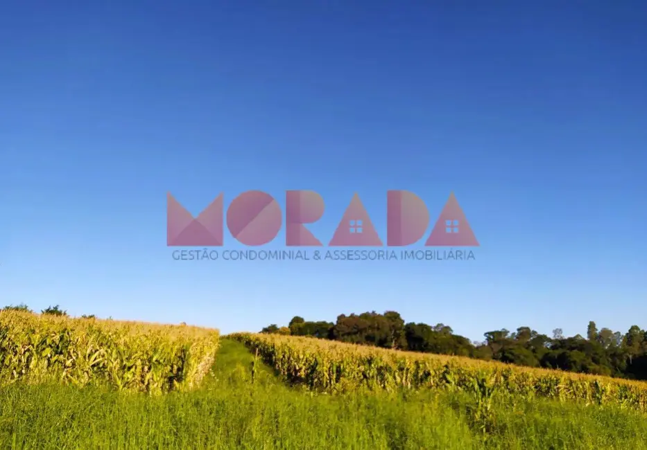 Foto 1 de Fazenda / Haras à venda, 10890000m2 em Mundo Novo - BA