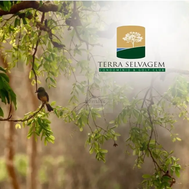 Terreno / Lote à venda, 1125m2 em Área Rural de Cuiabá, Cuiaba - MT - imagem 4 Foto 4 de Terreno / Lote à venda, 1125m2 em Área Rural de Cuiabá, Cuiaba - MT