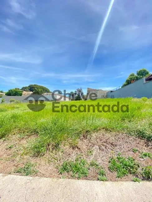 Terreno / Lote à venda, 490m2 em Parque das Paineiras, Birigui - SP - imagem 3 Foto 3 de Terreno / Lote à venda, 490m2 em Parque das Paineiras, Birigui - SP