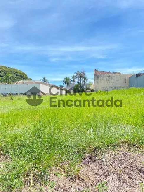 Foto 4 de Terreno / Lote à venda, 490m2 em Parque das Paineiras, Birigui - SP