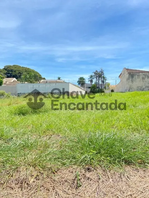 Foto 8 de Terreno / Lote à venda, 490m2 em Parque das Paineiras, Birigui - SP
