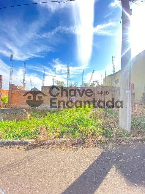 Terreno / Lote à venda, 580m2 em Residencial São Pedro, Birigui - SP - imagem 8 Foto 8 de Terreno / Lote à venda, 580m2 em Residencial São Pedro, Birigui - SP