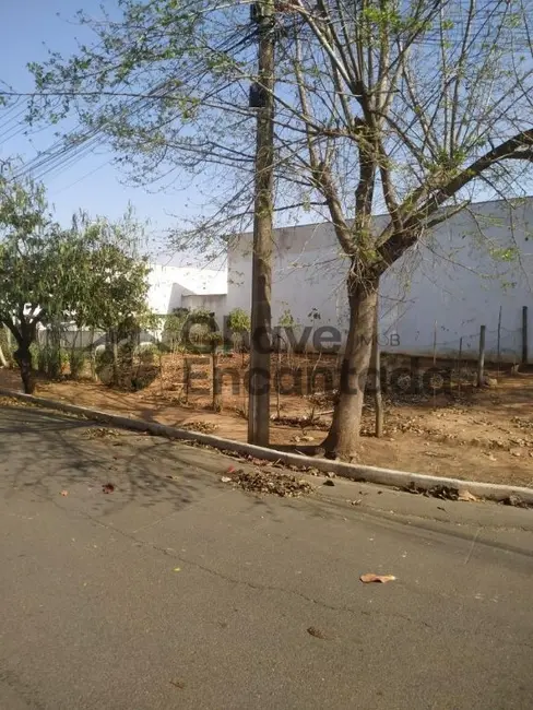 Terreno / Lote à venda, 226m2 em Residencial Simões, Birigui - SP - imagem 2 Foto 2 de Terreno / Lote à venda, 226m2 em Residencial Simões, Birigui - SP