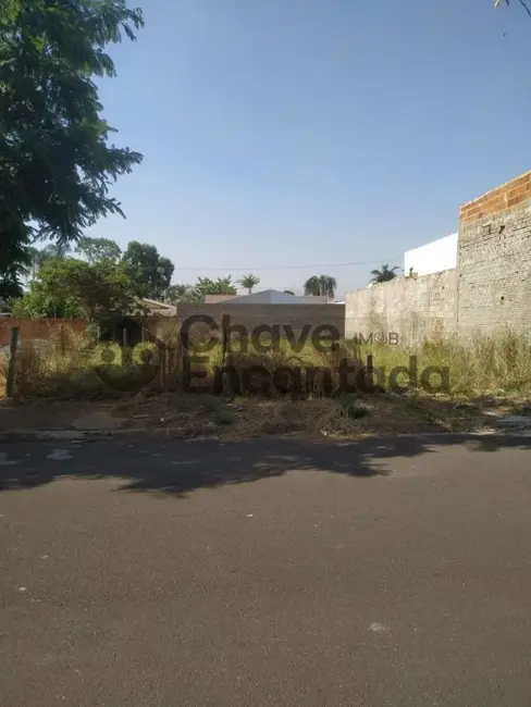 Terreno / Lote à venda, 250m2 em Birigui - SP - imagem 4 Foto 4 de Terreno / Lote à venda, 250m2 em Birigui - SP