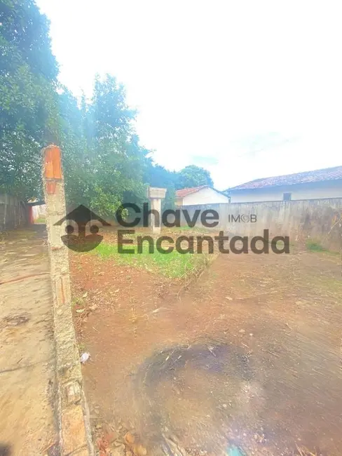 Terreno / Lote à venda, 446m2 em Jardim São Genaro, Birigui - SP - imagem 4 Foto 4 de Terreno / Lote à venda, 446m2 em Jardim São Genaro, Birigui - SP