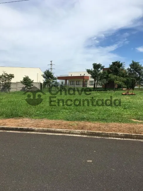 Terreno / Lote à venda, 200m2 em Vila São Paulo, Aracatuba - SP - imagem 4 Foto 4 de Terreno / Lote à venda, 200m2 em Vila São Paulo, Aracatuba - SP