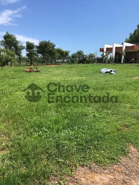 Terreno / Lote à venda, 200m2 em Vila São Paulo, Aracatuba - SP - imagem 5 Foto 5 de Terreno / Lote à venda, 200m2 em Vila São Paulo, Aracatuba - SP