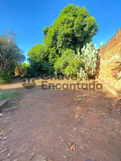 Foto 1 de Casa com 2 quartos à venda, 115m2 em Vila Xavier, Birigui - SP