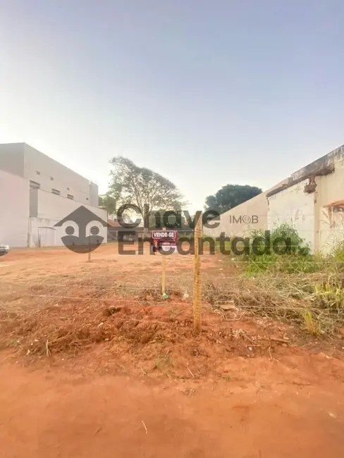 Terreno / Lote à venda, 320m2 em Centro, Birigui - SP - imagem 1 Foto 1 de Terreno / Lote à venda, 320m2 em Centro, Birigui - SP