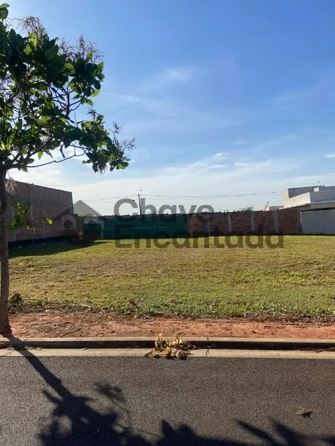 Terreno / Lote à venda, 302m2 em Jardim Pinheiros, Birigui - SP - imagem 3 Foto 3 de Terreno / Lote à venda, 302m2 em Jardim Pinheiros, Birigui - SP