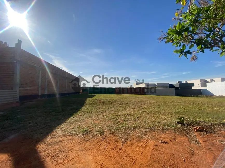 Terreno / Lote à venda, 302m2 em Jardim Pinheiros, Birigui - SP - imagem 8 Foto 8 de Terreno / Lote à venda, 302m2 em Jardim Pinheiros, Birigui - SP